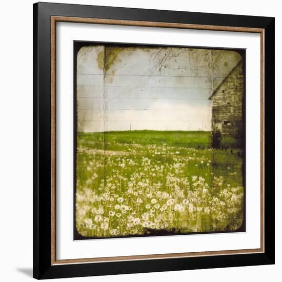 Field II-Ingrid Blixt-Framed Art Print