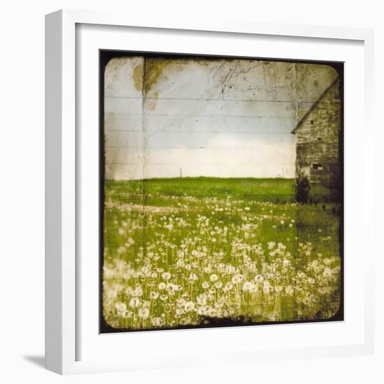 Field II-Ingrid Blixt-Framed Art Print