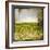 Field II-Ingrid Blixt-Framed Art Print