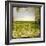 Field II-Ingrid Blixt-Framed Art Print