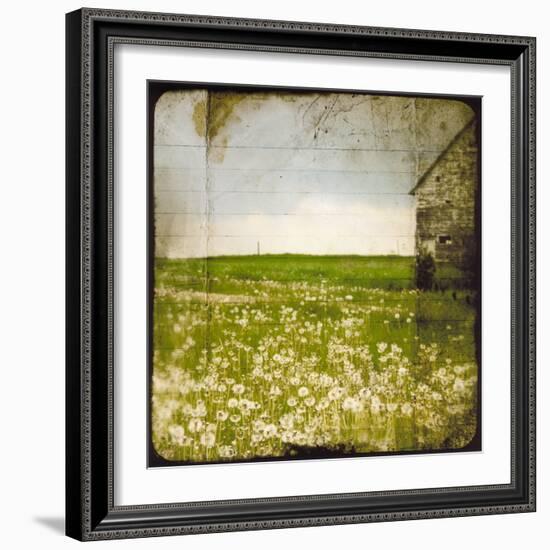 Field II-Ingrid Blixt-Framed Art Print