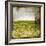 Field II-Ingrid Blixt-Framed Art Print