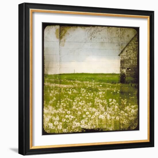 Field II-Ingrid Blixt-Framed Art Print