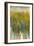 Field Impressions II-Lila Bramma-Framed Art Print