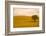 Field in Lower Tuscany-Caroyl La Barge-Framed Photographic Print