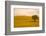 Field in Lower Tuscany-Caroyl La Barge-Framed Photographic Print