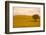 Field in Lower Tuscany-Caroyl La Barge-Framed Photographic Print