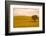 Field in Lower Tuscany-Caroyl La Barge-Framed Photographic Print