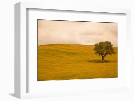 Field in Lower Tuscany-Caroyl La Barge-Framed Photographic Print