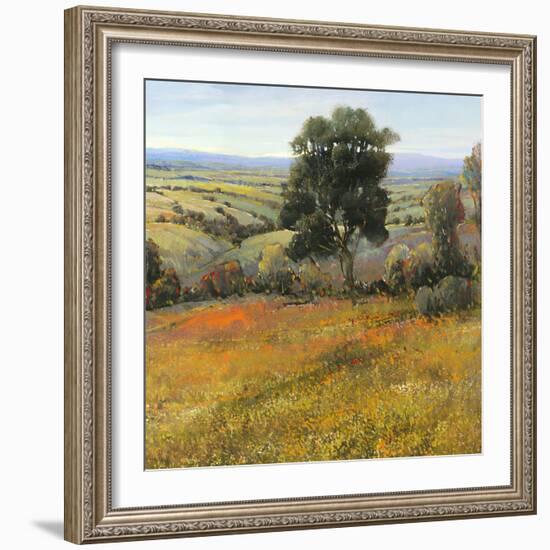 Field in Summer-Tim O'toole-Framed Art Print