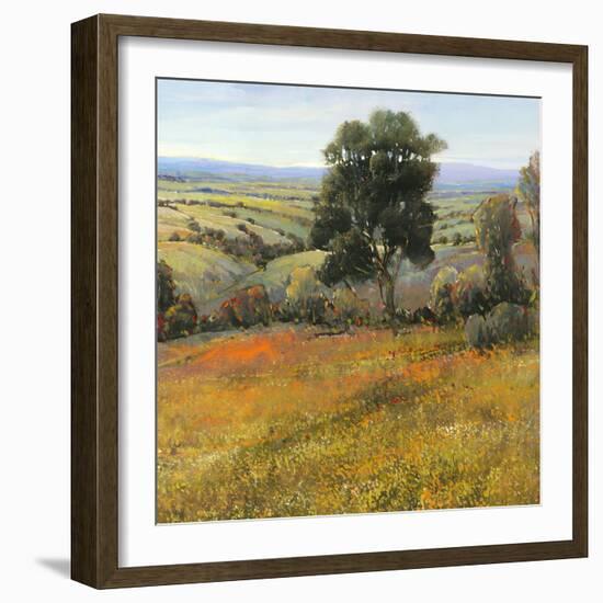 Field in Summer-Tim O'toole-Framed Art Print