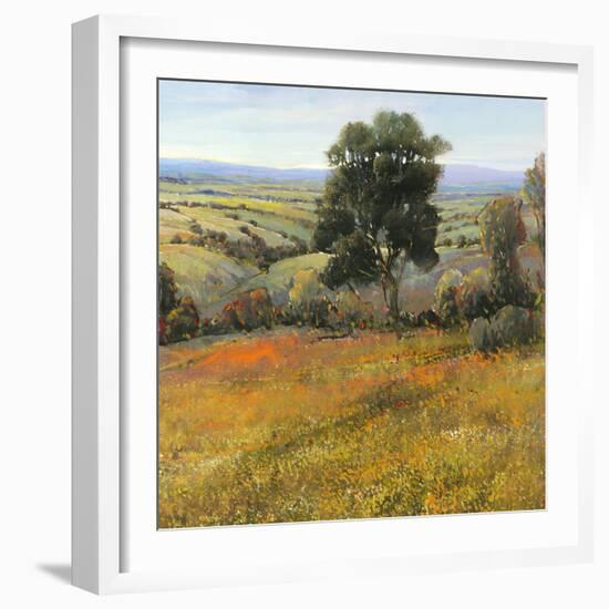 Field in Summer-Tim O'toole-Framed Art Print