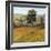 Field in Summer-Tim O'toole-Framed Art Print