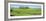 Field, Jean Lafitte National Park, New Orleans, Louisiana, USA-Panoramic Images-Framed Photographic Print