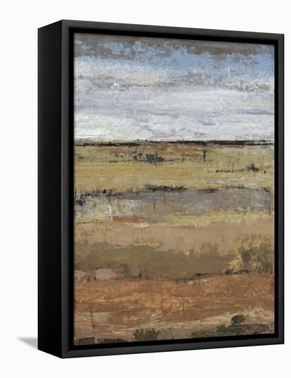 Field Layers II-Tim OToole-Framed Stretched Canvas