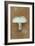 Field Mushroom-Den Reader-Framed Photographic Print