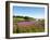 Field Near Lakeville, Prince Edward Island, Canada, North America-Michael DeFreitas-Framed Photographic Print