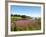 Field Near Lakeville, Prince Edward Island, Canada, North America-Michael DeFreitas-Framed Photographic Print