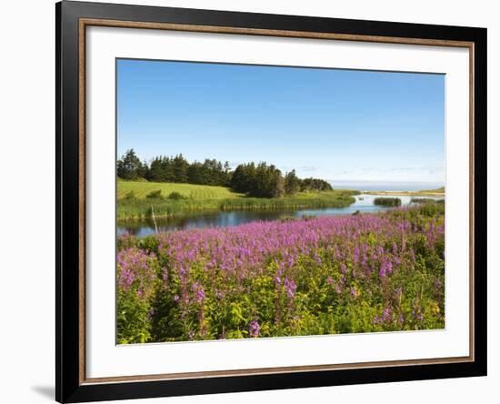 Field Near Lakeville, Prince Edward Island, Canada, North America-Michael DeFreitas-Framed Photographic Print