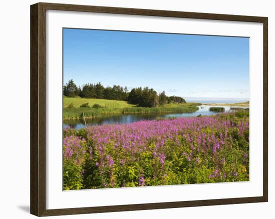Field Near Lakeville, Prince Edward Island, Canada, North America-Michael DeFreitas-Framed Photographic Print