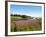 Field Near Lakeville, Prince Edward Island, Canada, North America-Michael DeFreitas-Framed Photographic Print