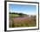 Field Near Lakeville, Prince Edward Island, Canada, North America-Michael DeFreitas-Framed Photographic Print