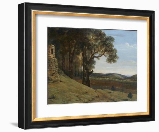 Field near Pencerrig, 1776 (Oil on Paper)-Thomas Jones-Framed Giclee Print