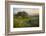 Field of Arrowleaf Balsamroot, Lupine and an Oak Tree at Columbia Hills State Park, Mt. Hood-Gary Luhm-Framed Photographic Print