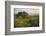 Field of Arrowleaf Balsamroot, Lupine and an Oak Tree at Columbia Hills State Park, Mt. Hood-Gary Luhm-Framed Photographic Print