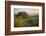 Field of Arrowleaf Balsamroot, Lupine and an Oak Tree at Columbia Hills State Park, Mt. Hood-Gary Luhm-Framed Photographic Print