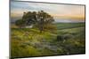 Field of Arrowleaf Balsamroot, Lupine and an Oak Tree at Columbia Hills State Park, Mt. Hood-Gary Luhm-Mounted Photographic Print