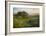 Field of Arrowleaf Balsamroot, Lupine and an Oak Tree at Columbia Hills State Park, Mt. Hood-Gary Luhm-Framed Photographic Print