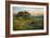 Field of Arrowleaf Balsamroot, Lupine and an Oak Tree at Columbia Hills State Park, Mt. Hood-Gary Luhm-Framed Photographic Print