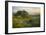 Field of Arrowleaf Balsamroot, Lupine and an Oak Tree at Columbia Hills State Park, Mt. Hood-Gary Luhm-Framed Photographic Print