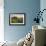 Field of Arrowleaf Balsamroot, Lupine and an Oak Tree at Columbia Hills State Park, Mt. Hood-Gary Luhm-Framed Photographic Print displayed on a wall