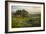 Field of Arrowleaf Balsamroot, Lupine and an Oak Tree at Columbia Hills State Park, Mt. Hood-Gary Luhm-Framed Photographic Print