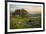 Field of Arrowleaf Balsamroot, Lupine and an Oak Tree at Columbia Hills State Park, Mt. Hood-Gary Luhm-Framed Photographic Print