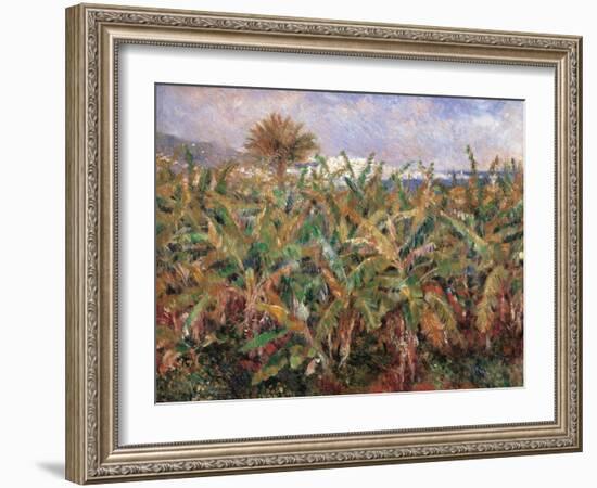 Field of Banana Trees-Pierre-Auguste Renoir-Framed Giclee Print