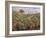 Field of Banana Trees-Pierre-Auguste Renoir-Framed Giclee Print