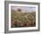 Field of Banana Trees-Pierre-Auguste Renoir-Framed Giclee Print