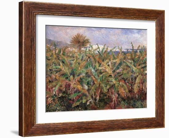 Field of Banana Trees-Pierre-Auguste Renoir-Framed Giclee Print