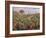 Field of Banana Trees-Pierre-Auguste Renoir-Framed Giclee Print