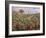 Field of Banana Trees-Pierre-Auguste Renoir-Framed Giclee Print