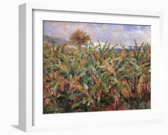 Field of Banana Trees-Pierre-Auguste Renoir-Framed Giclee Print