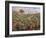 Field of Banana Trees-Pierre-Auguste Renoir-Framed Giclee Print