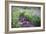 Field of Beauty I-Dan Ballard-Framed Photographic Print