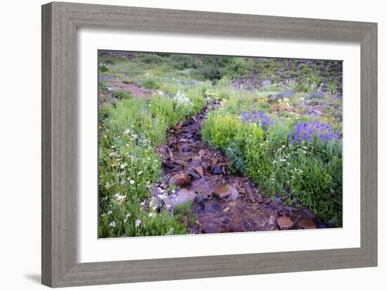 Field of Beauty I-Dan Ballard-Framed Photographic Print