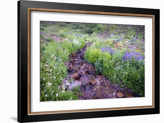 Field of Beauty I-Dan Ballard-Framed Photographic Print