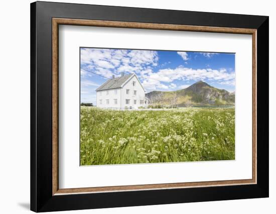 Field of blooming flowers frame the typical wooden house surrounded by peaks and blue sea, Flakstad-Roberto Moiola-Framed Photographic Print