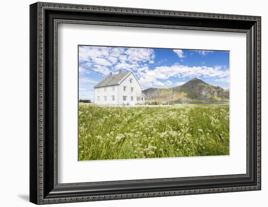 Field of blooming flowers frame the typical wooden house surrounded by peaks and blue sea, Flakstad-Roberto Moiola-Framed Photographic Print